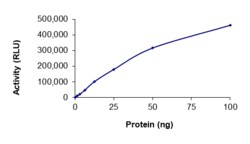 Sino Biological&nbsp;Recombinant Human EGFR Protein (D770_N771insG, GST Tag), Active